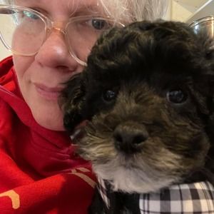 Meet your Posher, Jeanine